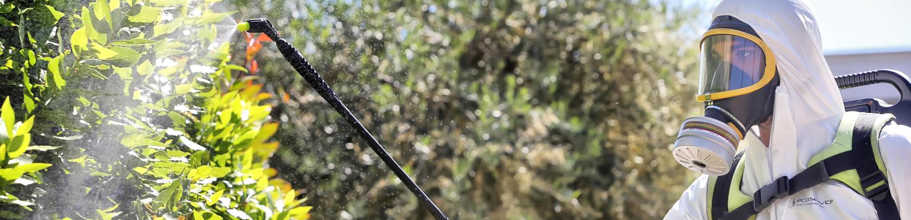 ecoservice-bologna it disinfestazioni-disinfezioni-e-derattizzazioni-bologna 005