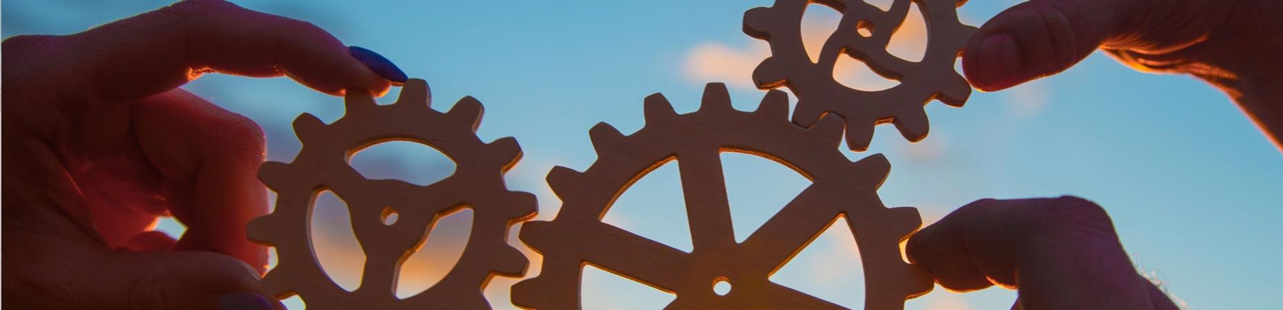 ecoservice-bologna it lavoro-impresa-di-pulizie 005